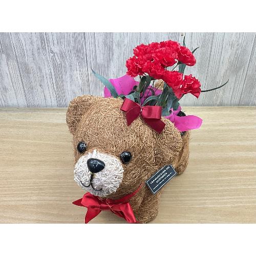 �N�}�K�[���̂��U���@�ԃJ�[�l4