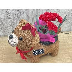 �N�}�K�[���̂��U���@�ԃJ�[�l