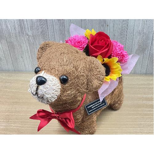 �N�}�̂��U���@�t���O�����X�����G�}