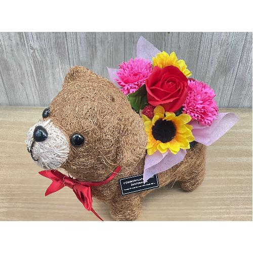 �N�}�̂��U���@�t���O�����X�����G�}2