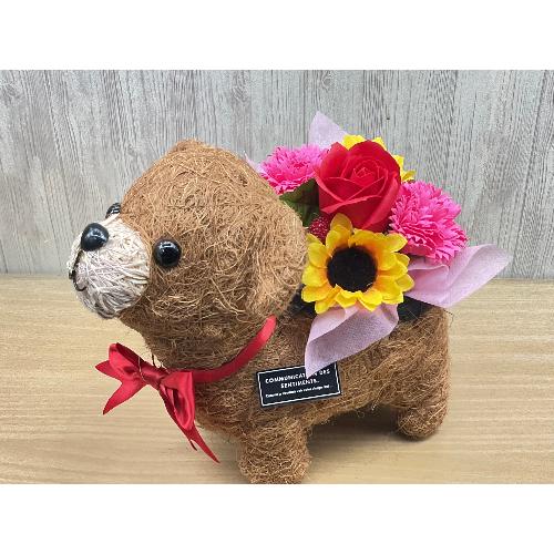 �N�}�̂��U���@�t���O�����X�����G�}4