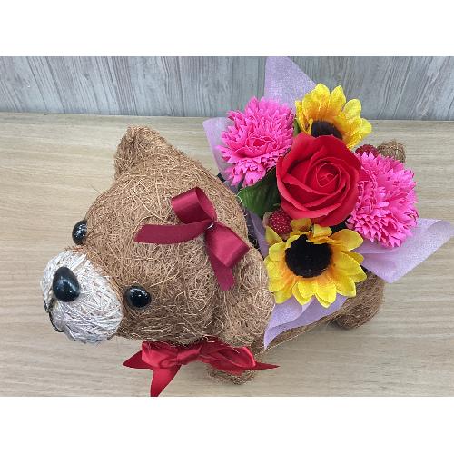 �N�}�K�[���̂��U���@�t���O�����X�����G�}3