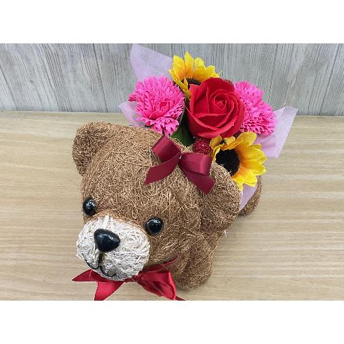 �N�}�K�[���̂��U���@�t���O�����X�����G�}4