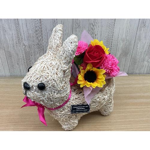 �N�}�̂��U���@�t���O�����X�����G�}