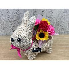 �N�}�̂��U���@�t���O�����X�����G�}