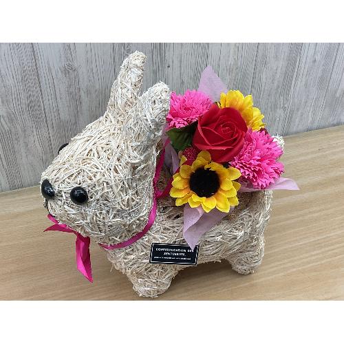 �������̂��U���@�t���O�����X�����G�}