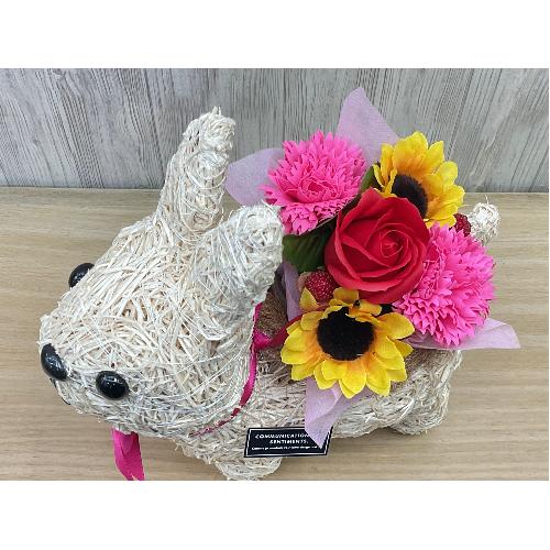 �������̂��U���@�t���O�����X�����G�}4