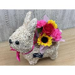 �������̂��U���@�t���O�����X�����G�}