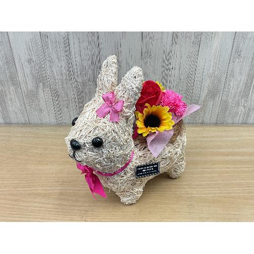 �������K�[���̂��U���@�t���O�����X�����G�}2