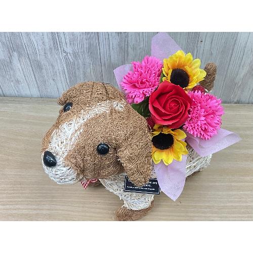 �f�R���̂��U���@�t���O�����X�����G�}2