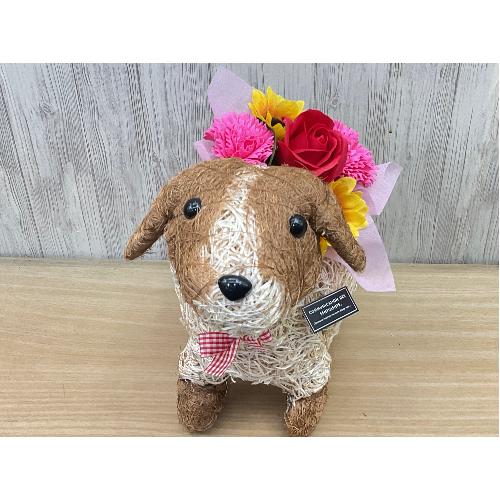 �f�R���̂��U���@�t���O�����X�����G�}3