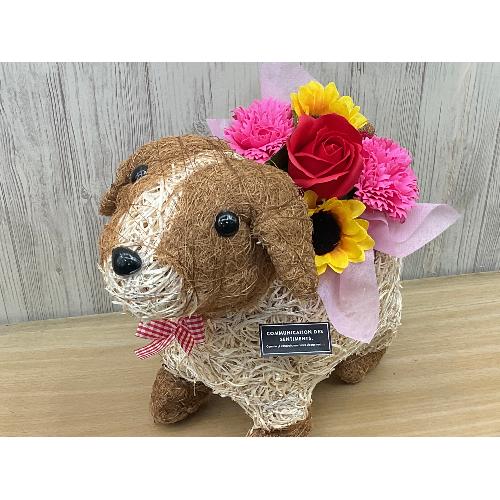 �f�R���̂��U���@�t���O�����X�����G�}4