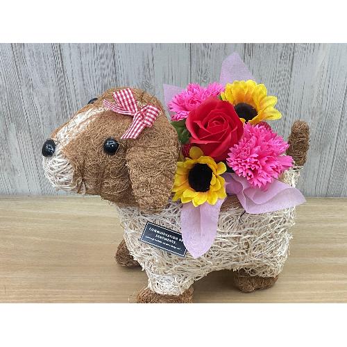 �f�R�K�[�����̂��U���@�t���O�����X�����G�}