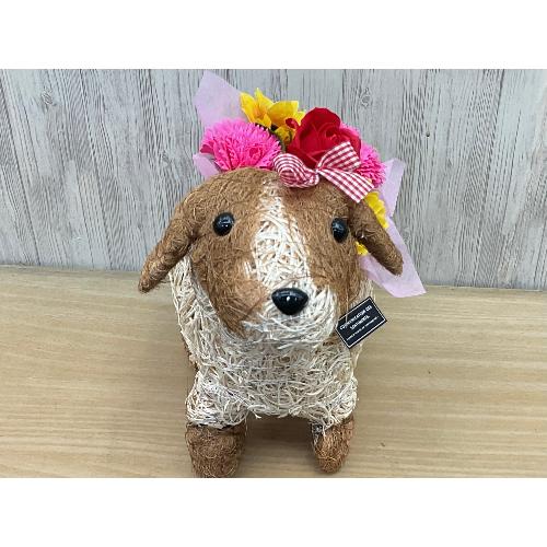 �f�R�K�[�����̂��U���@�t���O�����X�����G�}2