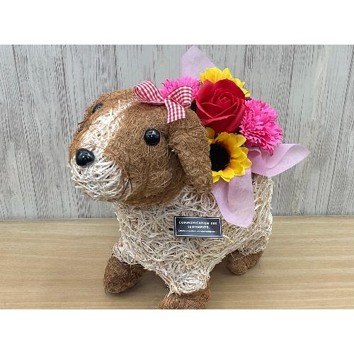 �f�R�K�[�����̂��U���@�t���O�����X�����G�}3