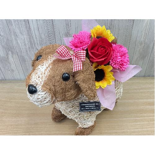 �f�R�K�[�����̂��U���@�t���O�����X�����G�}4