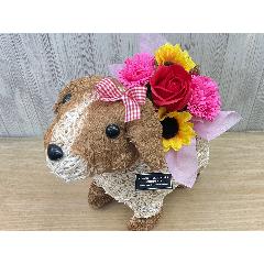 �f�R�K�[�����̂��U���@�t���O�����X�����G�}