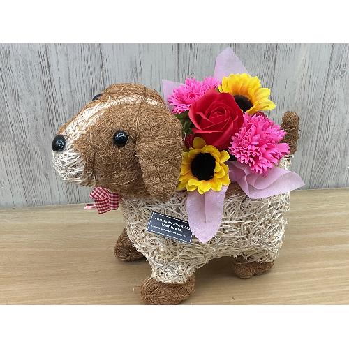 �f�R���̂��U���@�t���O�����X�����G�}2