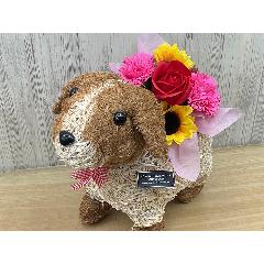 �f�R���̂��U���@�t���O�����X�����G�}