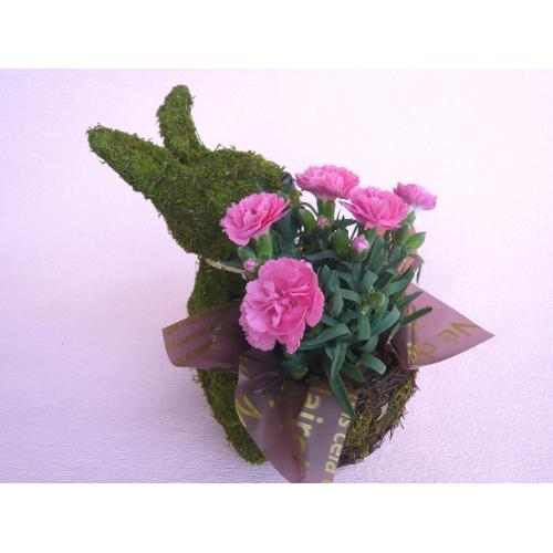 Plant Moss Rabbit Pink2