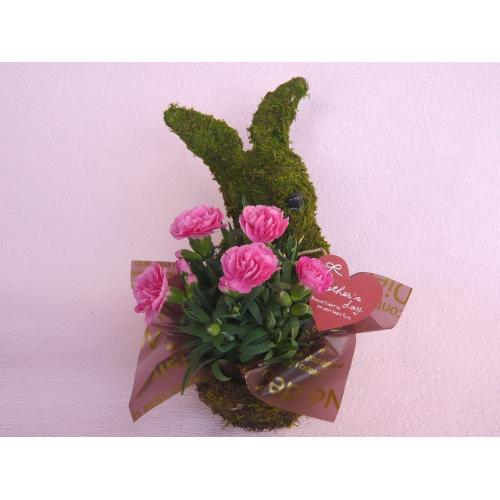 Plant Moss Rabbit Pink3