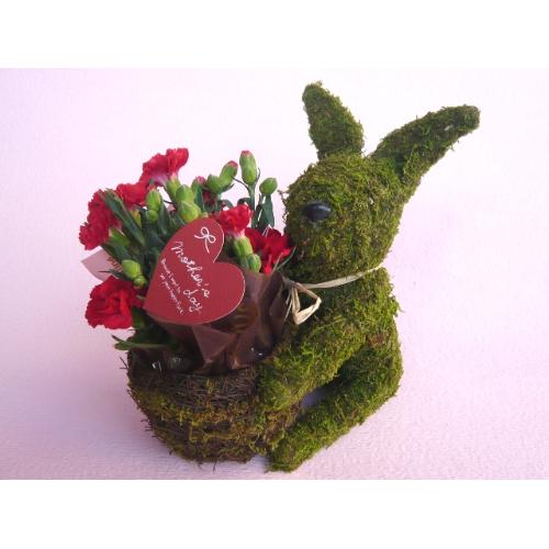 Plant Moss Rabbit Red2