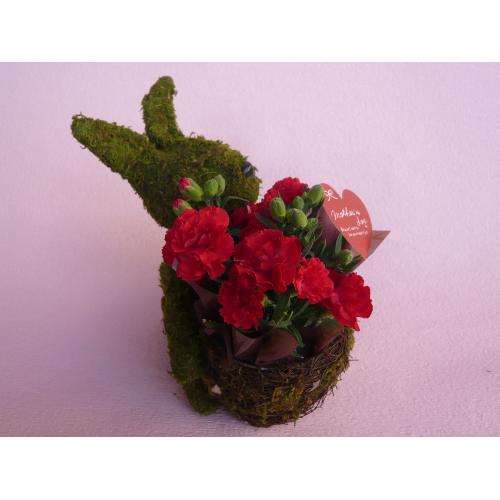 Plant Moss Rabbit Red3