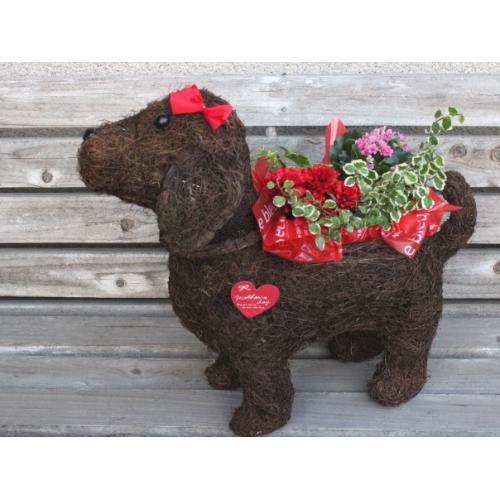 Dog@L@Red@R3
