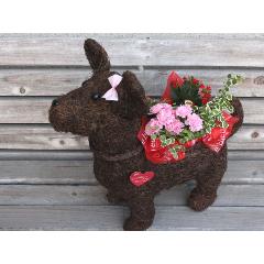 Dog����L��Pink��R