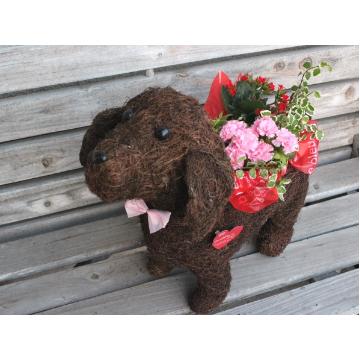 ＜フジテレビフラワーネット＞ Dog Lａｄｙ〜素敵な花をお届けします〜