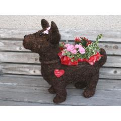 ���̲��ʡ�Dog����L��Pink��R