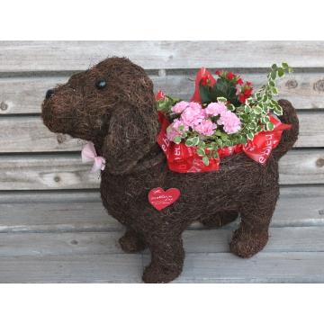 ＜フジテレビフラワーネット＞ Dog Ｍｏｔｈｅｒ 〜素敵な花をお届けします〜
