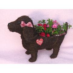 Dog　Ｍｏｔｈｅｒ　〜素敵な花をお届けします〜