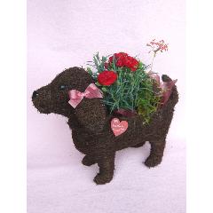 Dog　Lａｄｙ〜素敵な花をお届けします〜