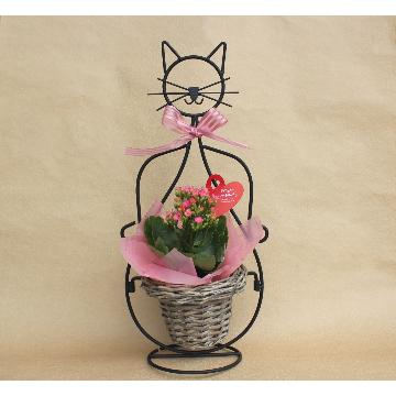 ＜フジテレビフラワーネット＞ 猫ちゃん 花鉢 Ｐｉｎｋ画像