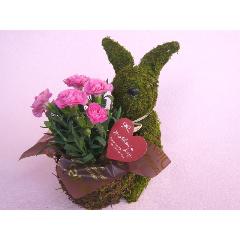 Plant Moss@Rabbit@Pink@