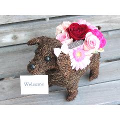 �������R������󥸡��У��롡��å�����