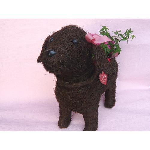 Dog　Lａｄｙ〜素敵な花をお届けします〜2