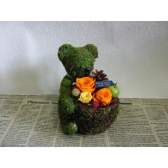 ���Τ��ޤ���