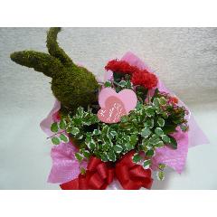 ���̲��ʡ�Moss��Rabbit���󤻥Х����å�