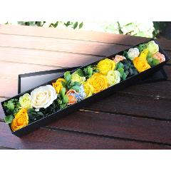 ̲ʥե쥰BOXե ĳ