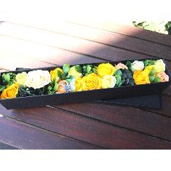 ̲ʡե쥰BOXե ĳ