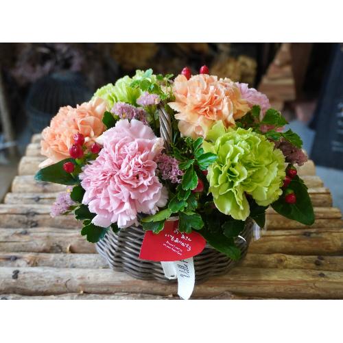 �g�i�`�������ȃ}�}�Ɂh���ӂ̃t�����[�o�X�P�b�g