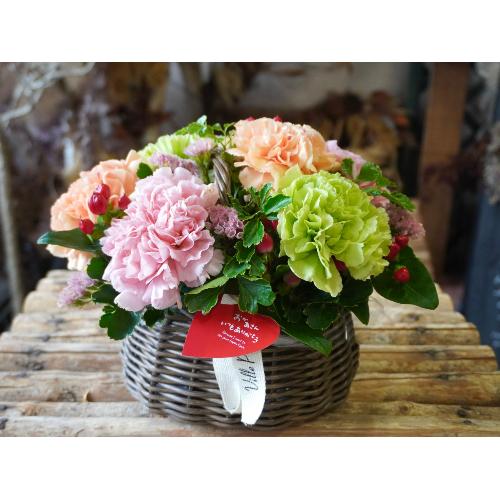 �g�i�`�������ȃ}�}�Ɂh���ӂ̃t�����[�o�X�P�b�g2