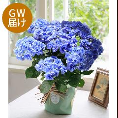 yGW͂zAWTCutFA[ACv(u[)