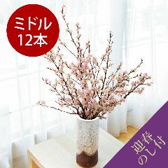 y}t̂V[tzR`̏tւ[i~hTCYj12{