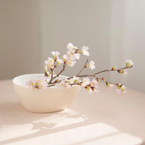 �y�P�����{��肨�͂��z�R�`����̏t�ւ�[�����i�~�h���T�C�Y�j8�{5