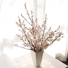 y}t̂V[tzR`̏tւ[iOTCYjT{ 