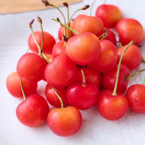 �y��̓��M�t�g�z�R�`���Y�������ځu�����сv���J�[�l�[�V�����~�j�u�[�P�Z�b�g4