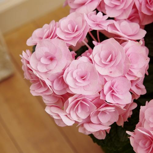 �y��̓��M�t�g�z�A�W�T�C�u���C�A���W���v3